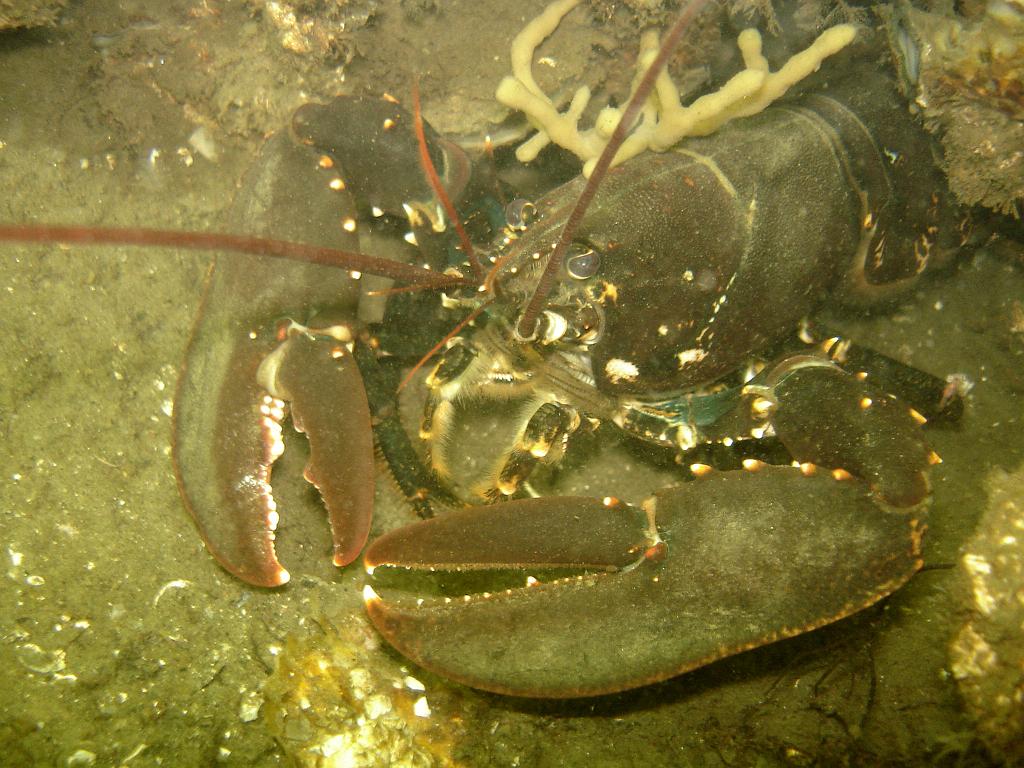 2008-06-28 12-23-09 H.jpg